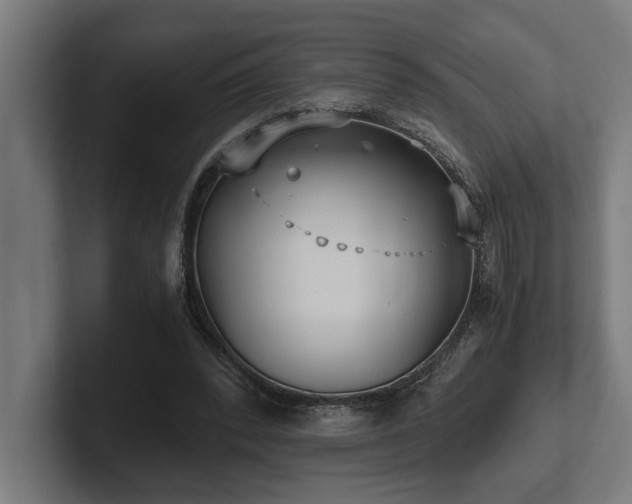 X0000102370392200808011517