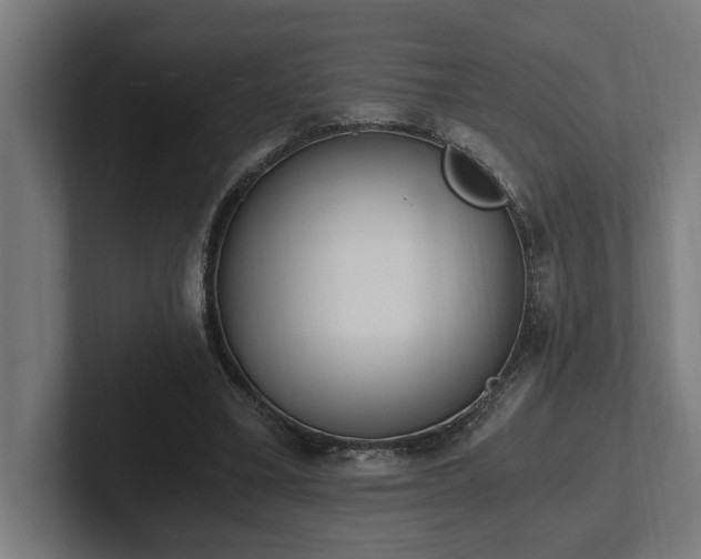 X0000102370395200808011517