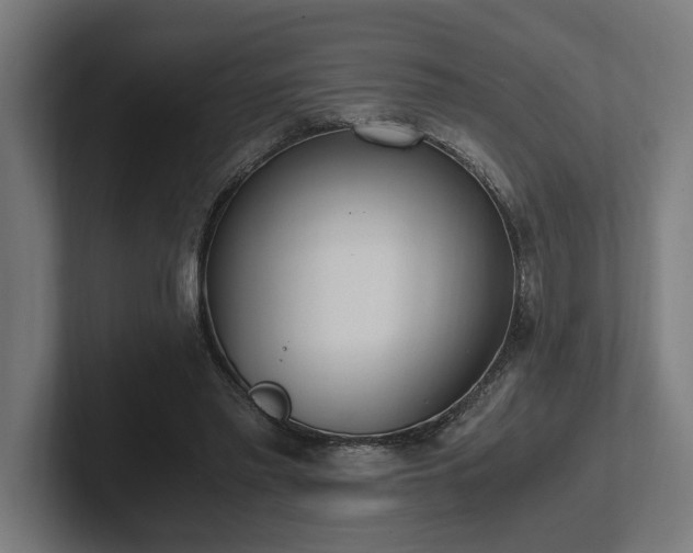 X0000102370397200808011517