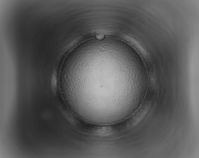 X0000102370398200808011517