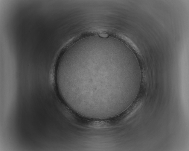 X0000102370399200808011517