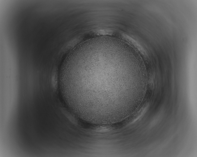 X0000102370402200808011517