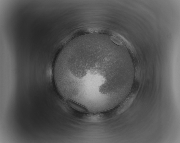 X0000102370405200808011517