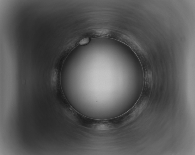 X0000102370412200808011517