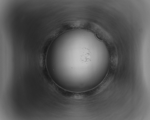 X0000102370416200808011517