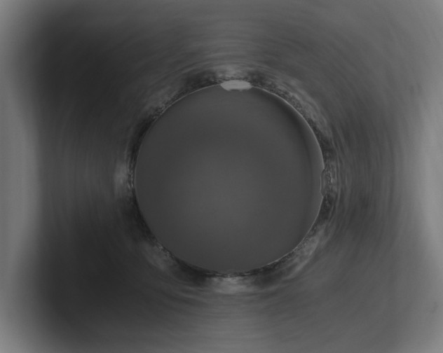 X0000102370419200808011517