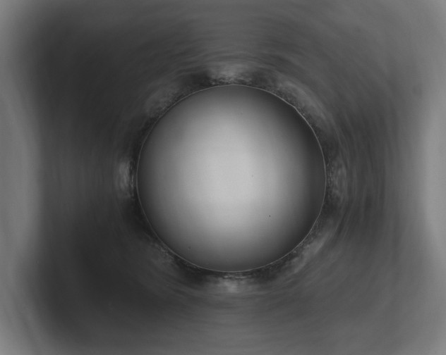 X0000102370420200808011517