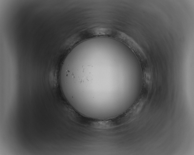 X0000102370422200808011517