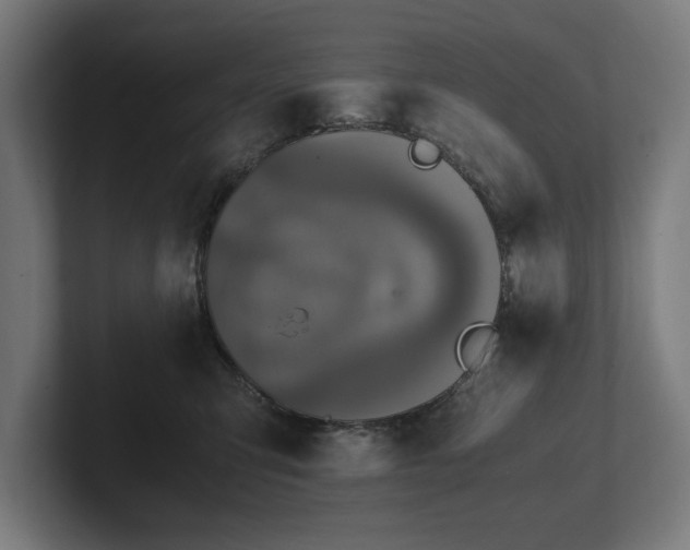 X0000102370423200808011517