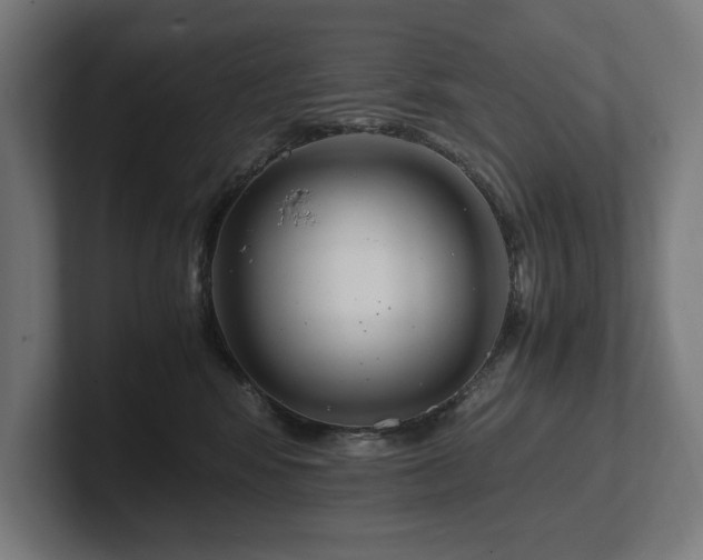 X0000102370424200808011517