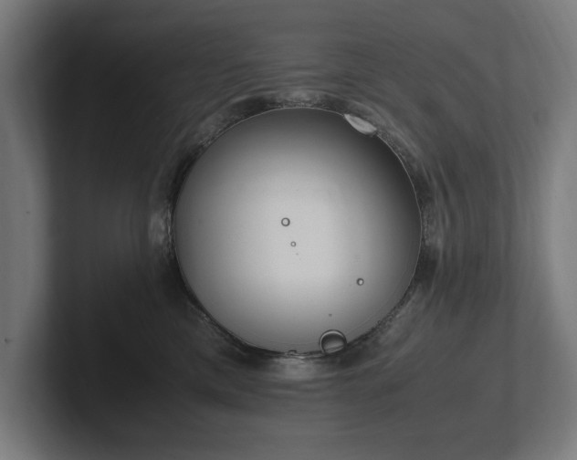 X0000102370425200808011517