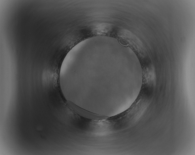 X0000102370427200808011517