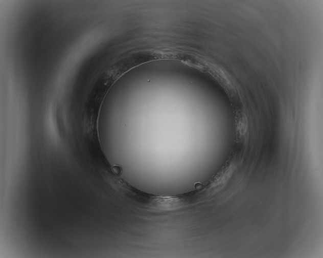 X0000102370429200808011517