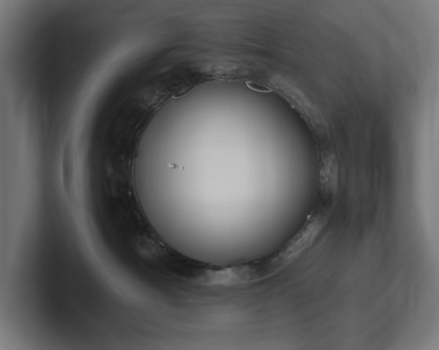 X0000102370430200808011517