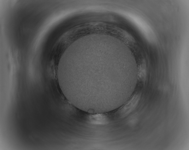 X0000102370431200808011517