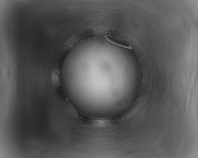 X0000102370432200808011517