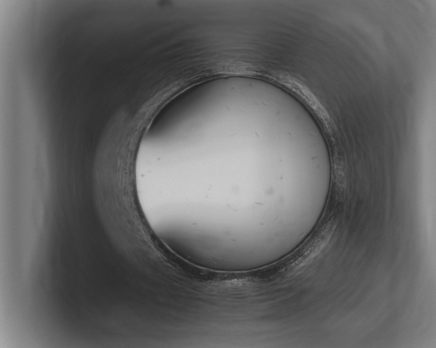 X0000102370433200808011516