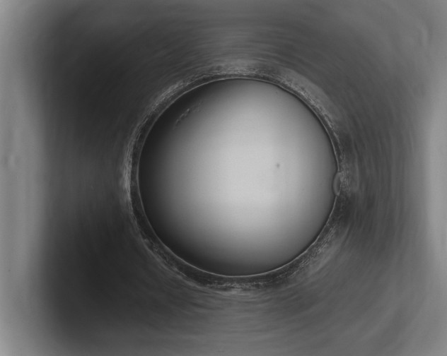 X0000102370434200808011516