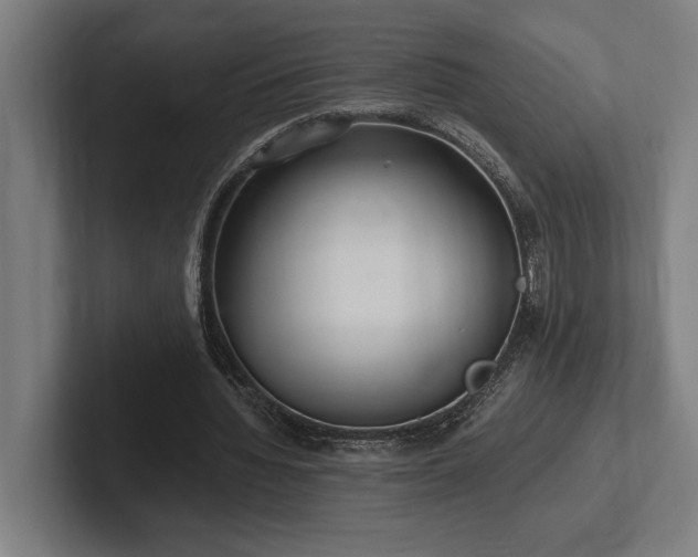 X0000102370436200808011516
