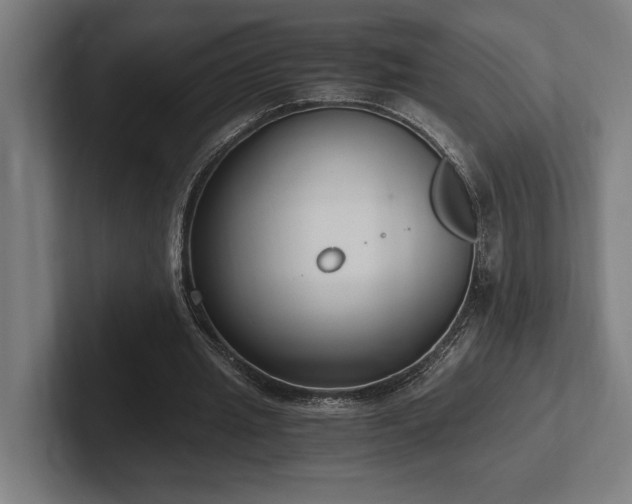 X0000102370437200808011516