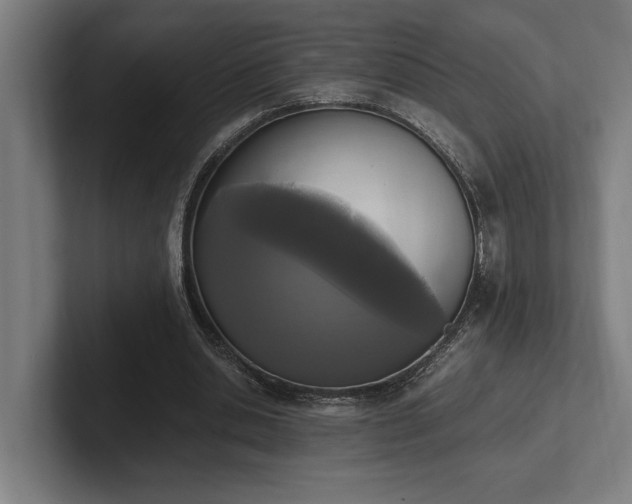 X0000102370438200808011516