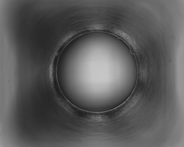 X0000102370439200808011516