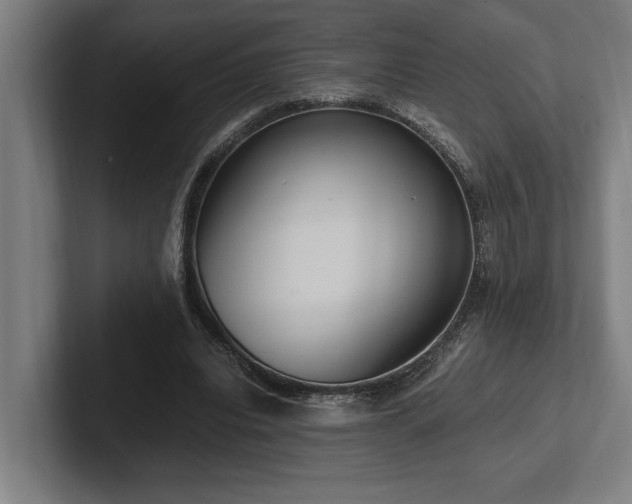 X0000102370440200808011516