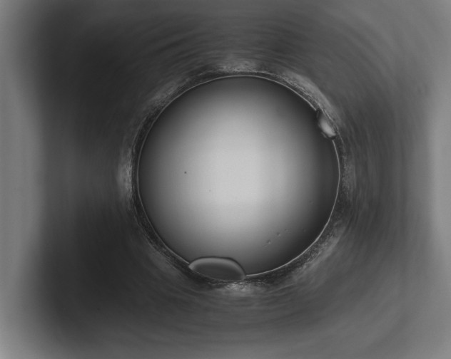 X0000102370441200808011516