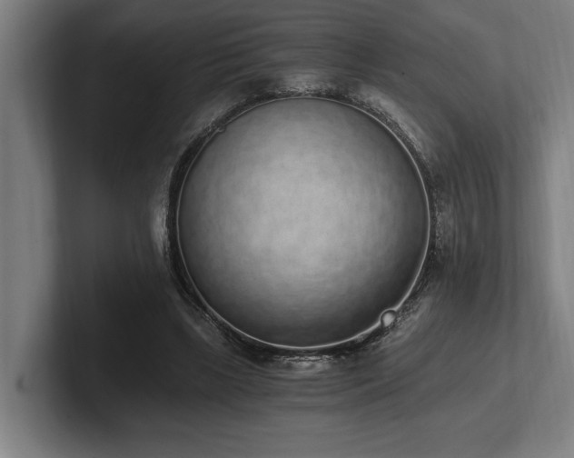 X0000102370443200808011516