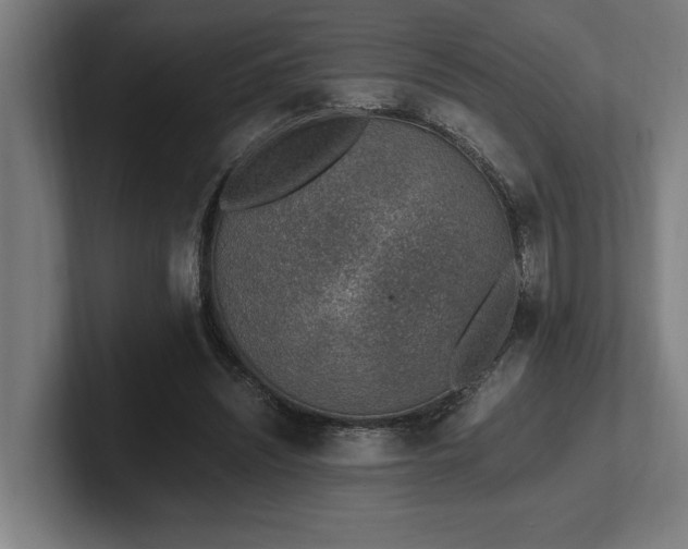 X0000102370444200808011516