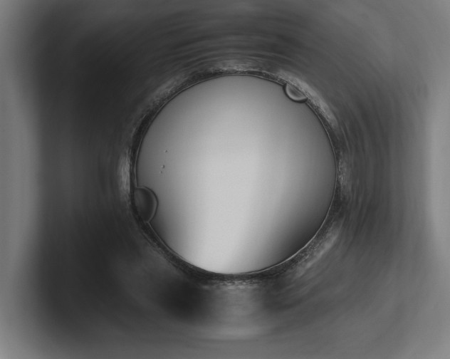 X0000102370445200808011516