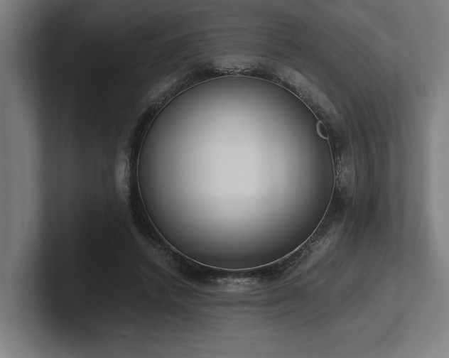 X0000102370448200808011516
