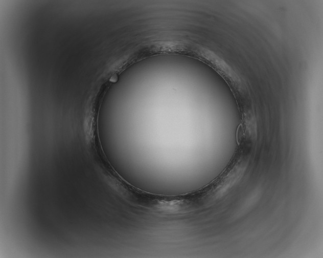 X0000102370450200808011516