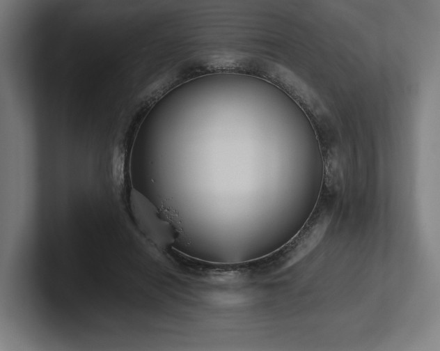 X0000102370454200808011516