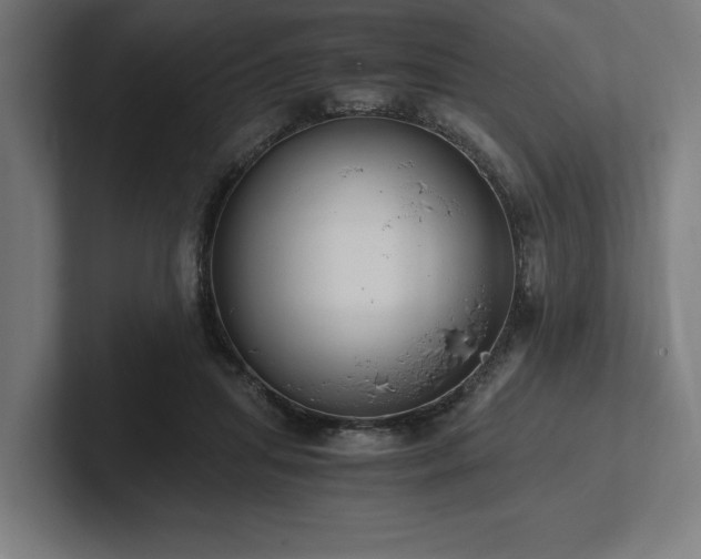 X0000102370455200808011517