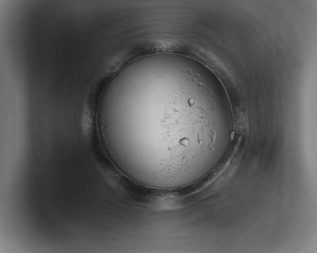 X0000102370456200808011517