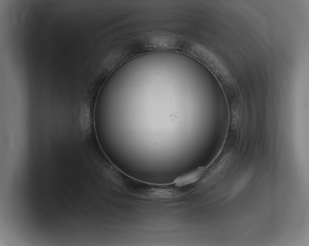 X0000102370457200808011517