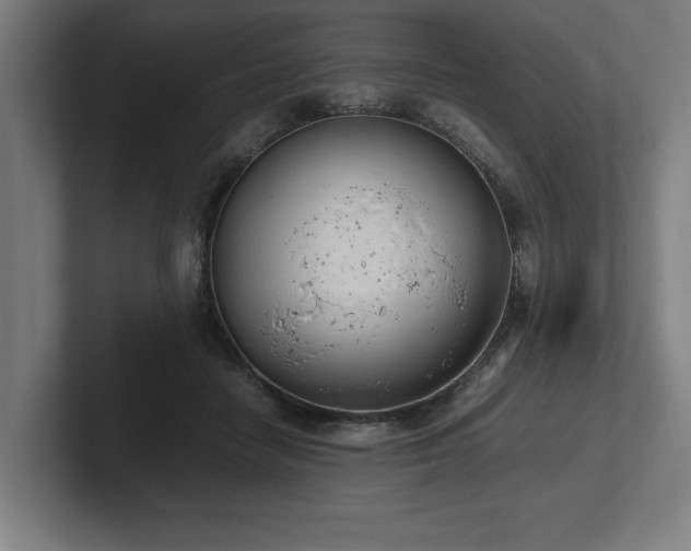 X0000102370458200808011517