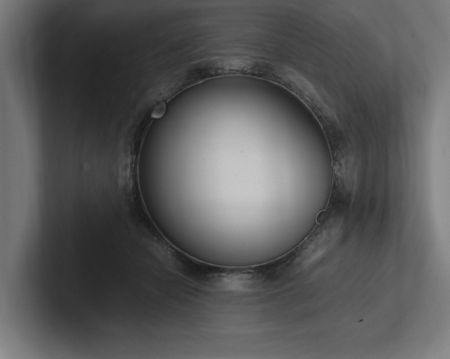 X0000102370462200808011517