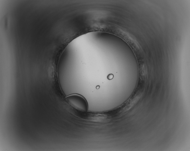 X0000102370463200808011517