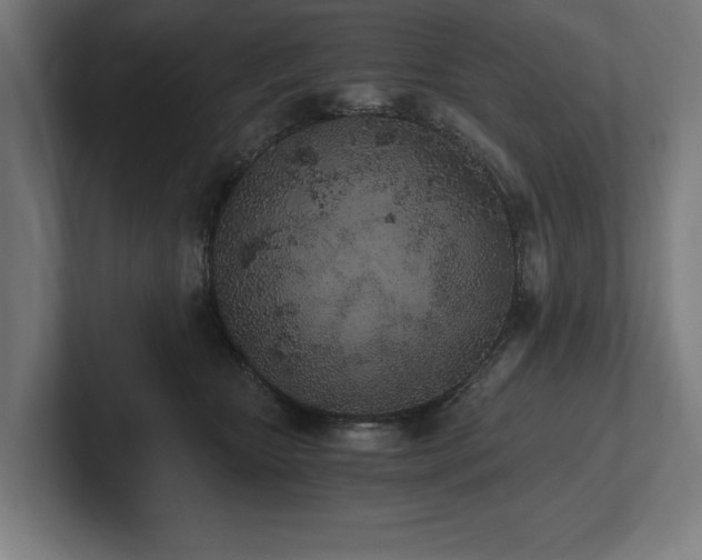 X0000102370467200808011517