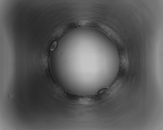 X0000102370470200808011517