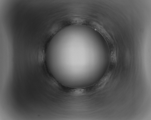 X0000102370474200808011517