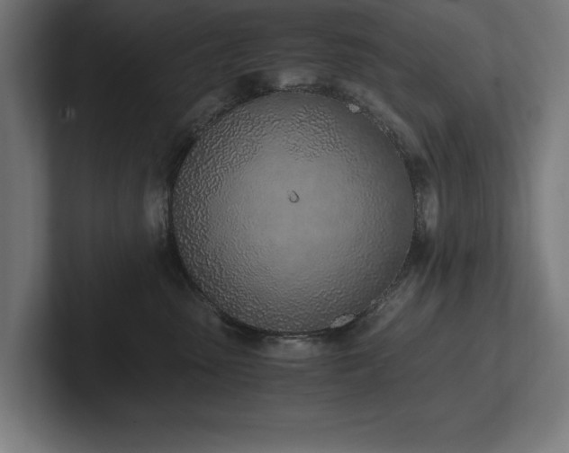 X0000102370475200808011517