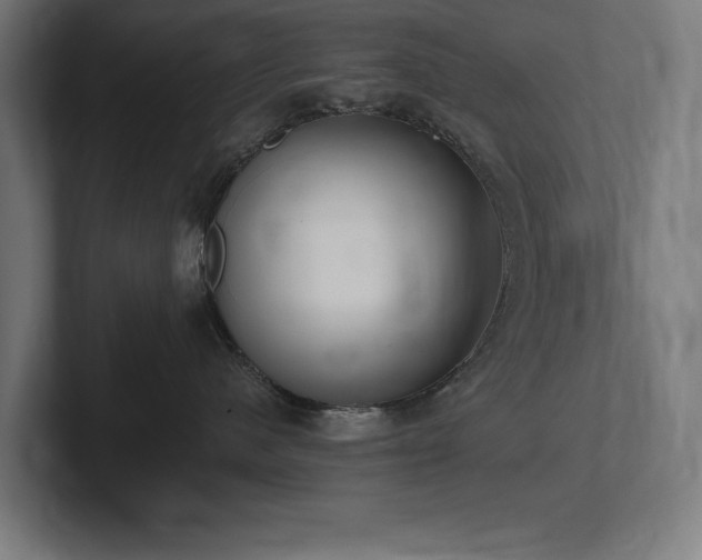 X0000102370480200808011517