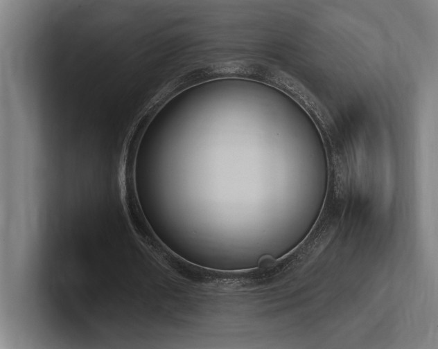 X0000102370482200808011516