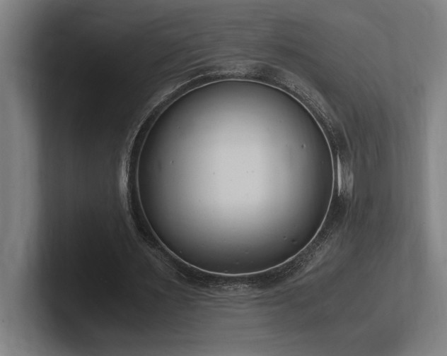 X0000102370483200808011516