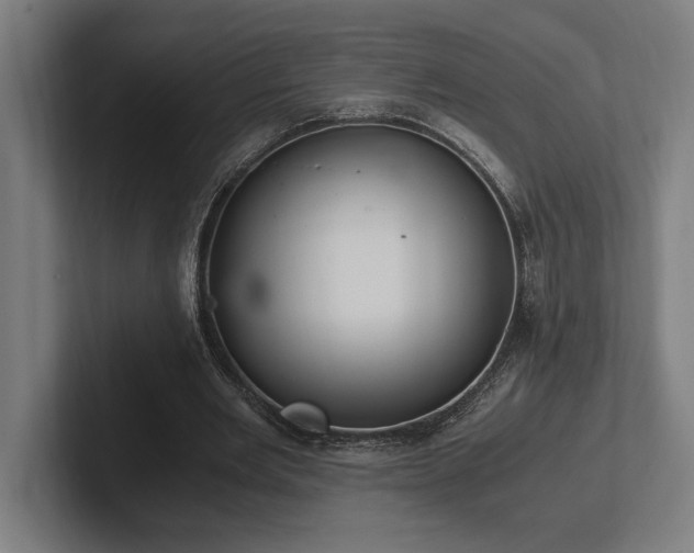 X0000102370485200808011516