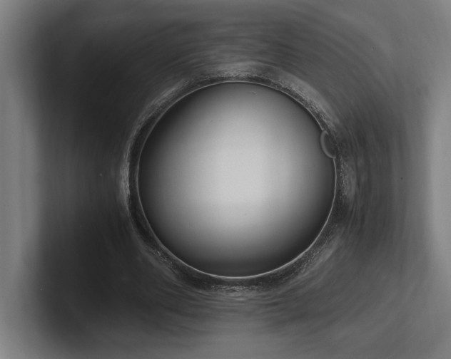 X0000102370486200808011516