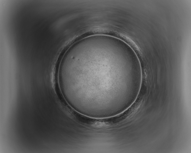 X0000102370487200808011516